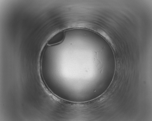 X0000074941088200609151958