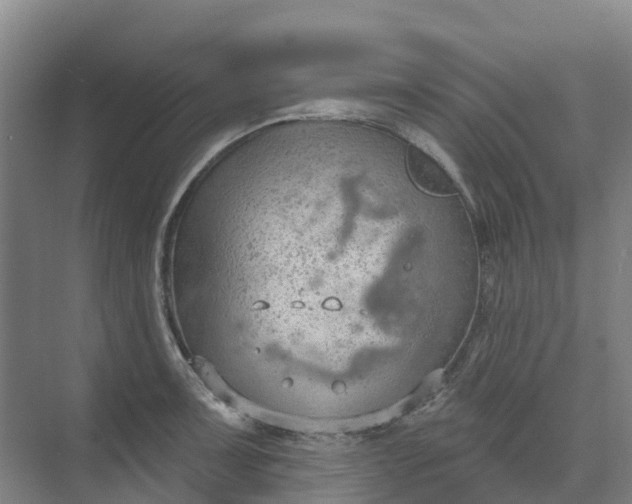 X0000074941091200609151958