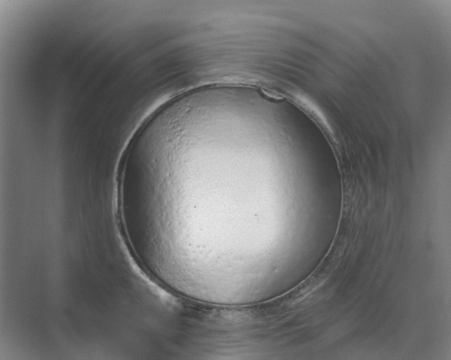 X0000074941095200609151958