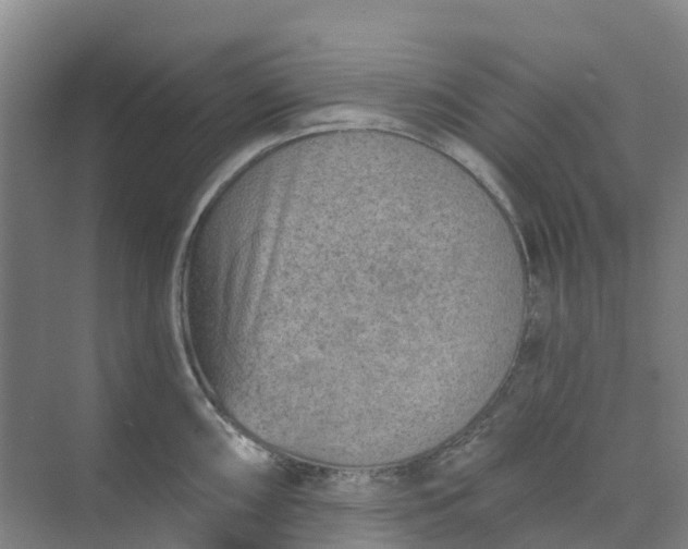 X0000074941098200609151958