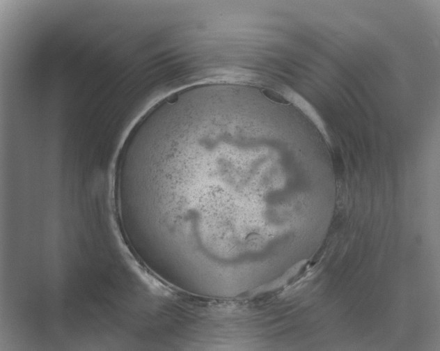 X0000074941099200609151958