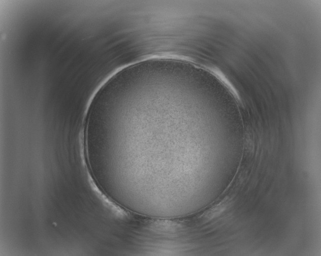 X0000074941100200609151958