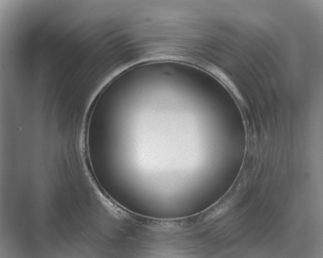 X0000074941101200609151958