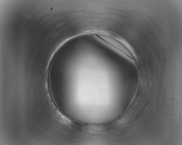 X0000074941102200609151958