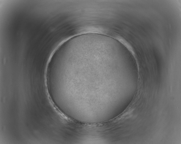 X0000074941104200609151958