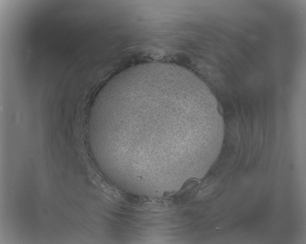 X0000074941105200609151957