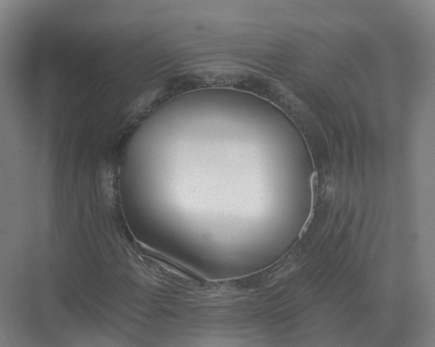 X0000074941108200609151957