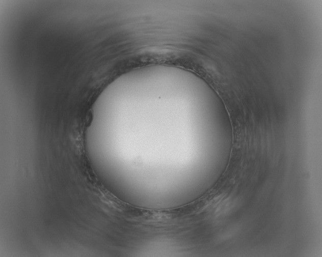 X0000074941109200609151957