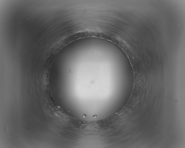 X0000074941110200609151957