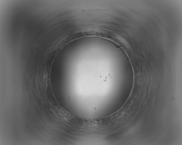 X0000074941111200609151957