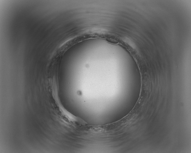 X0000074941112200609151957