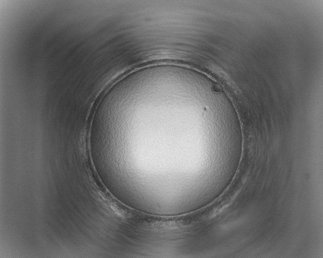 X0000074941121200609151957