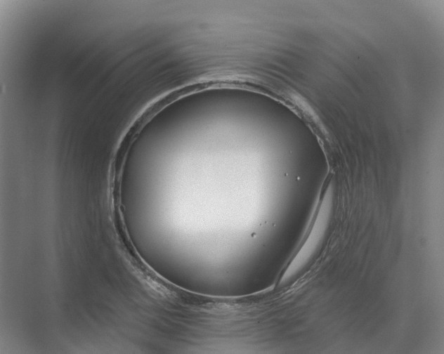 X0000074941124200609151957