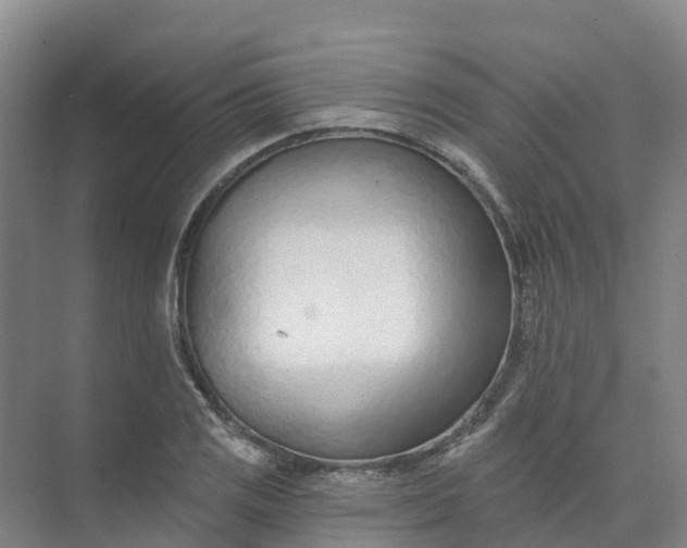 X0000074941125200609151958