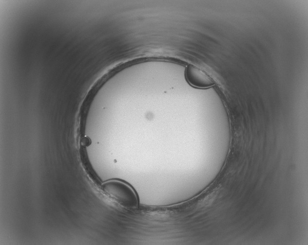 X0000074941126200609151958