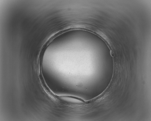 X0000074941127200609151958