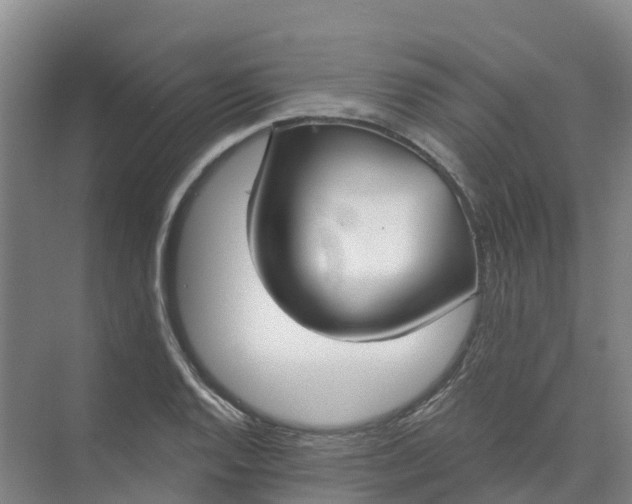 X0000074941128200609151958