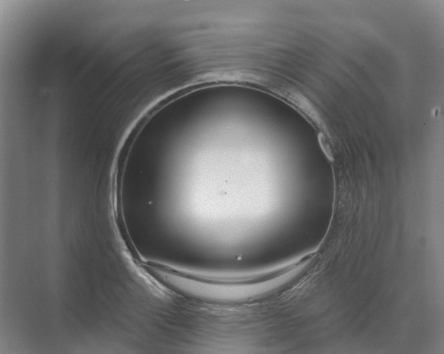 X0000074941132200609151958