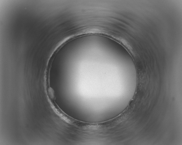 X0000074941134200609151958