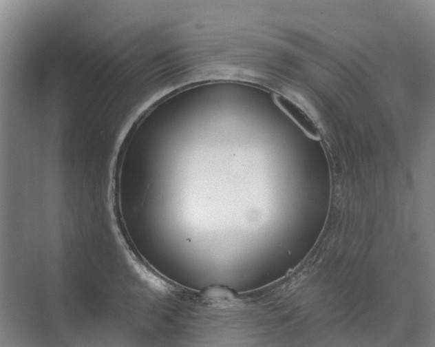 X0000074941136200609151958