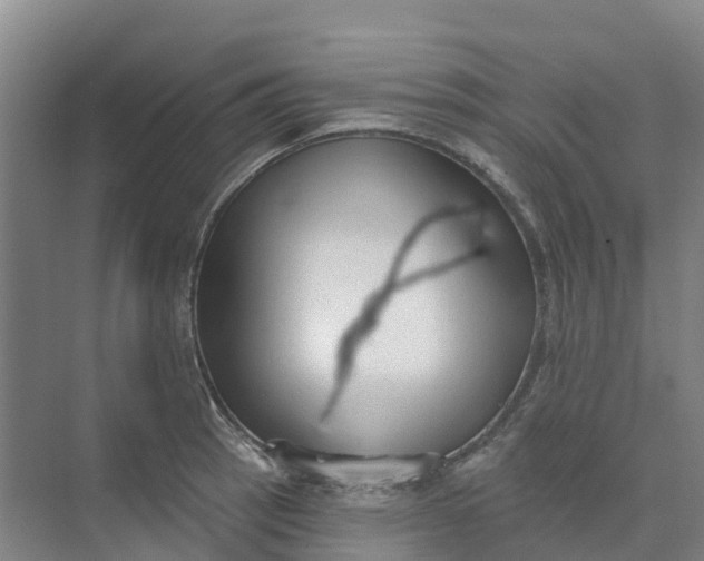 X0000074941137200609151958