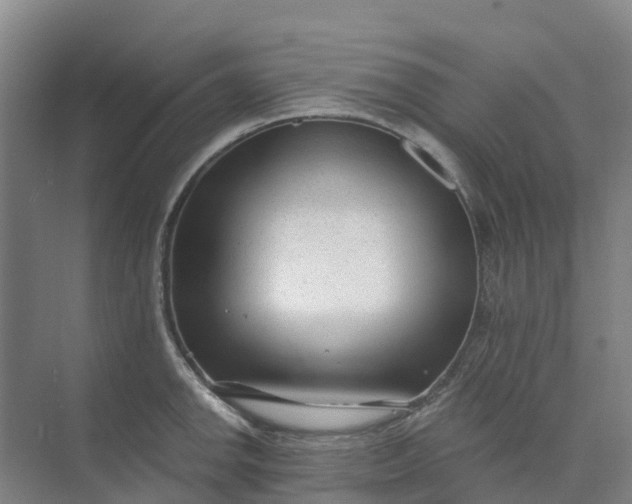 X0000074941142200609151958