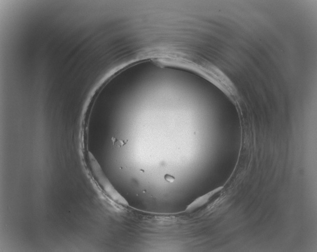 X0000074941144200609151958