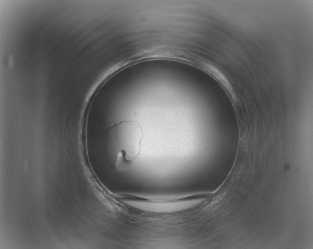 X0000074941146200609151958