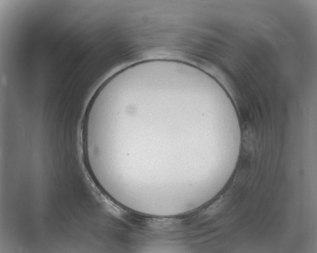 X0000074941150200609151958