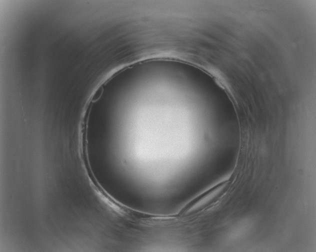 X0000074941151200609151958