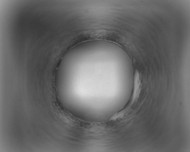 X0000074941153200609151957