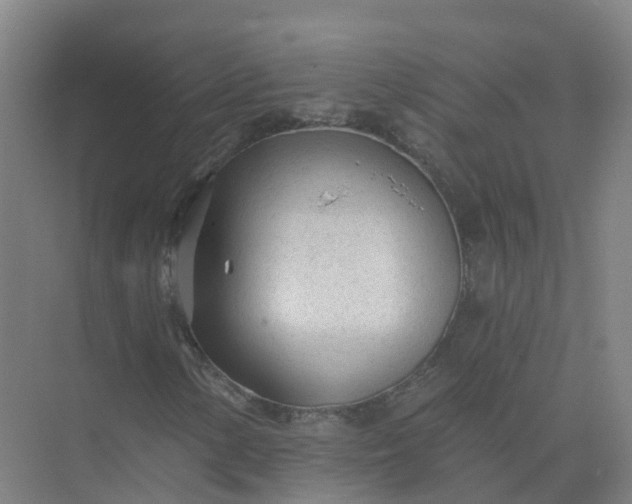 X0000074941154200609151957