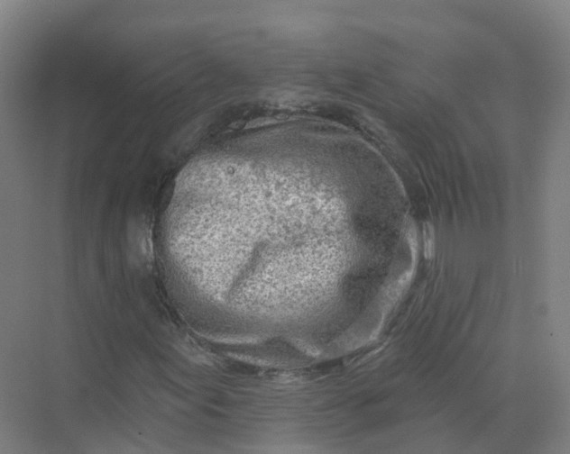 X0000074941155200609151957