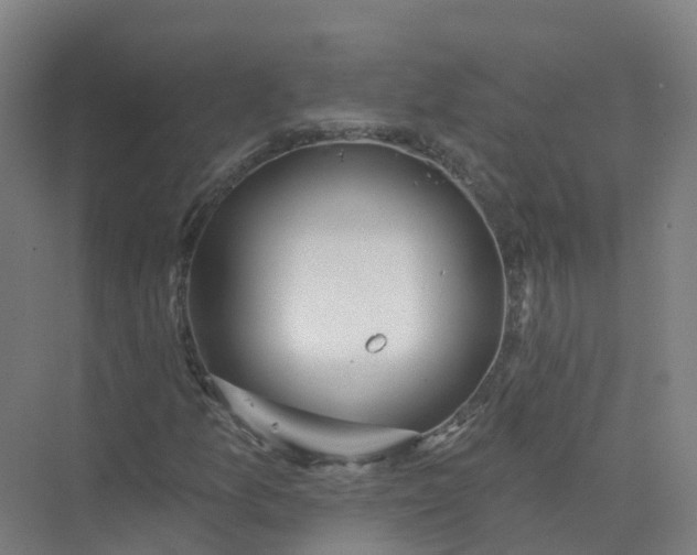 X0000074941157200609151957