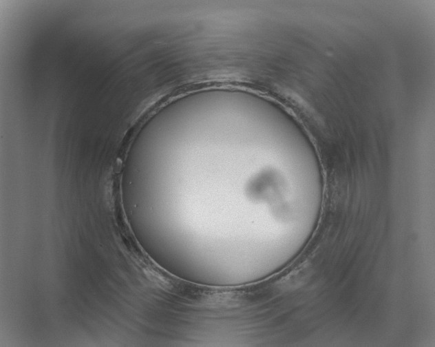 X0000074941162200609151957