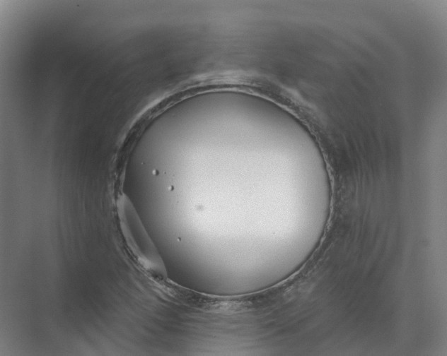 X0000074941166200609151957