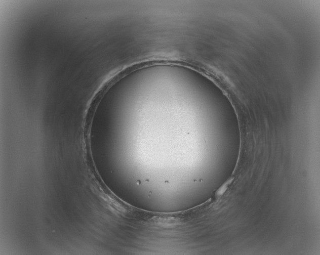 X0000074941168200609151957