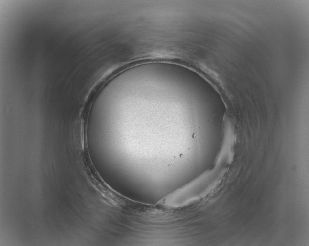 X0000074941171200609151957