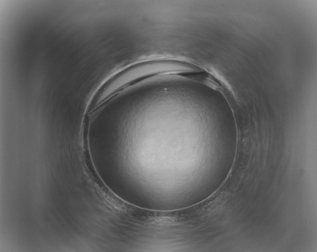 X0000074941173200609151957