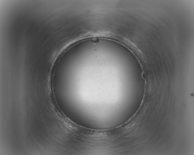 X0000074941174200609151957