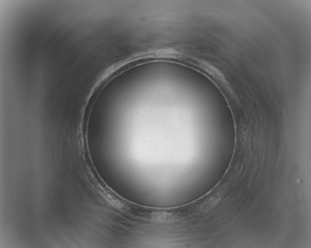 X0000074941176200609151957