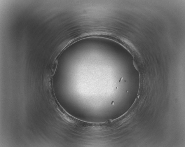 X0000074941177200609151957