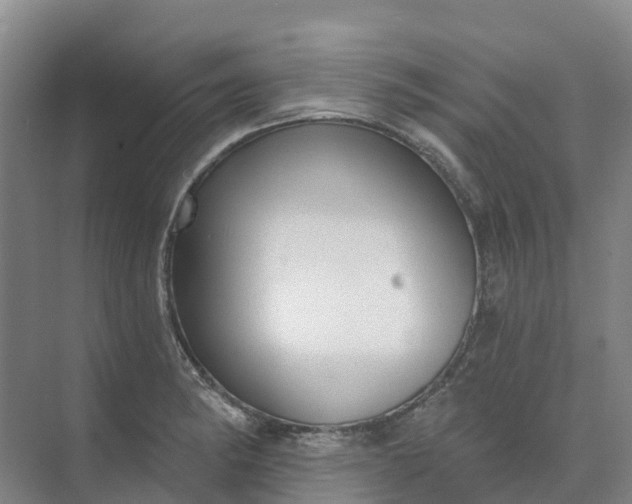 X0000074941182200609151957