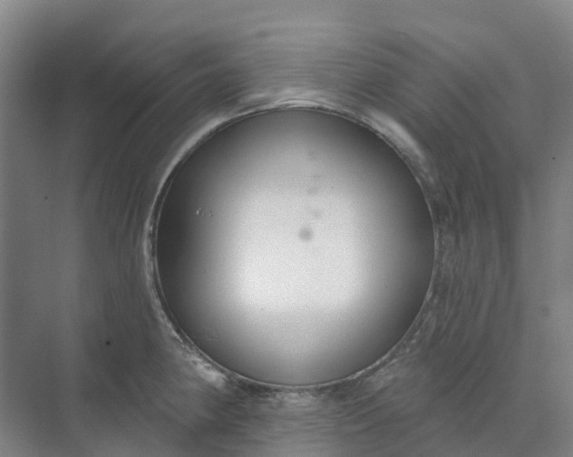 X0000074941190200609151957