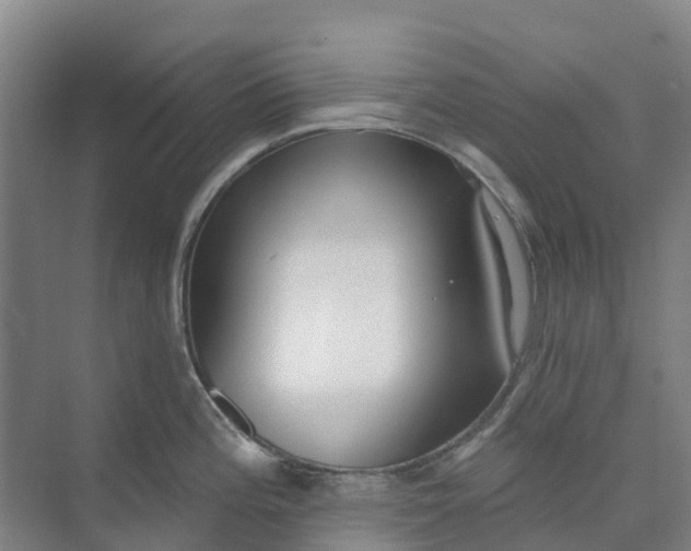 X0000074941196200609151956