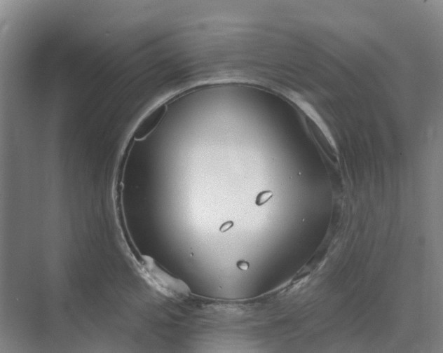 X0000074941197200609151956