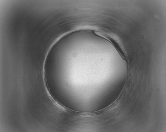 X0000074941199200609151956