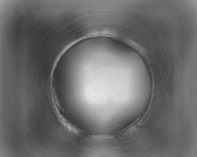 X0000074941200200609151956