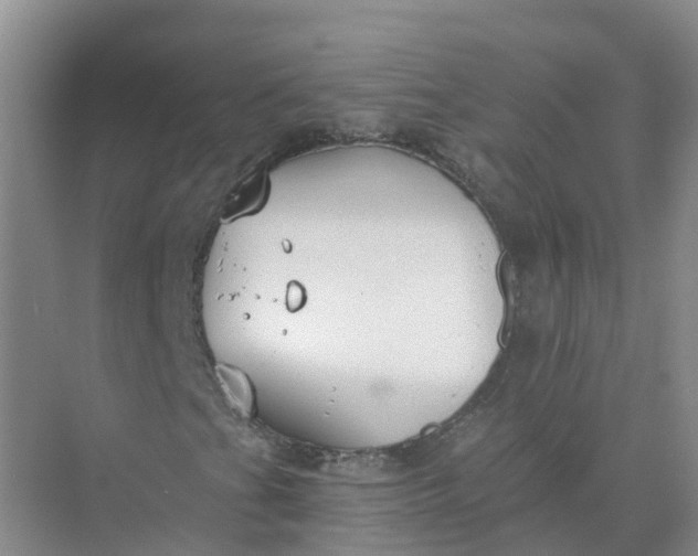 X0000074941201200609151956