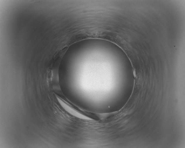 X0000074941202200609151956